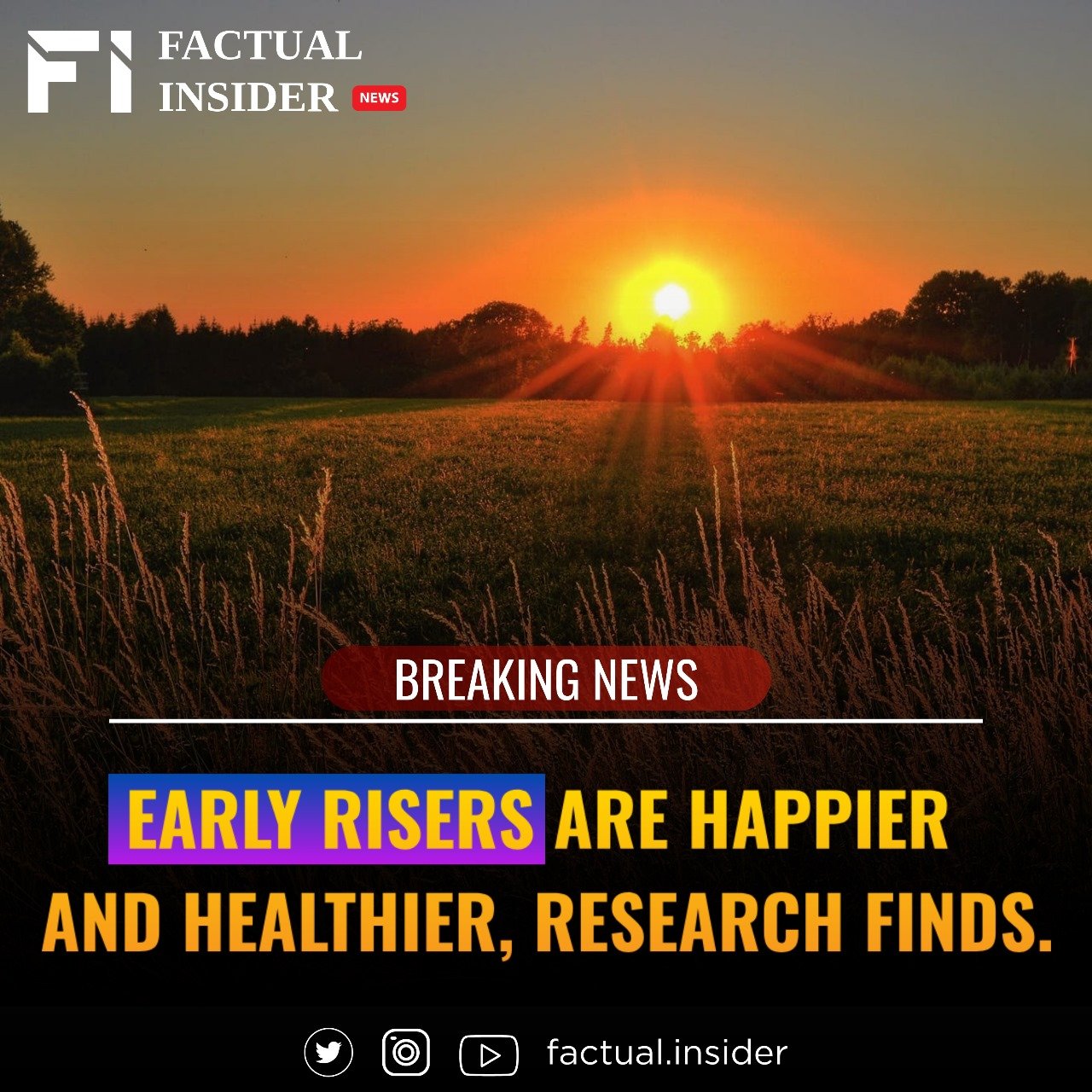 Early Risers Are Happier and Healthier, Research Finds.